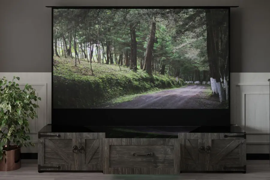 5 Best Projector Screen For Home Theater On Budget In 2025 3 Finding Your Perfect Projector Companion - The Aegis Andromeda