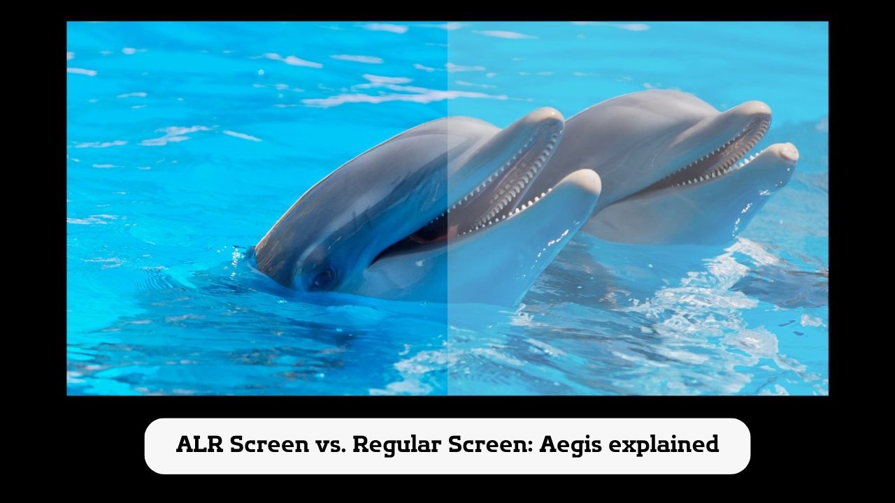 ALR Screen vs Regular Screen-﻿ Aegis explained